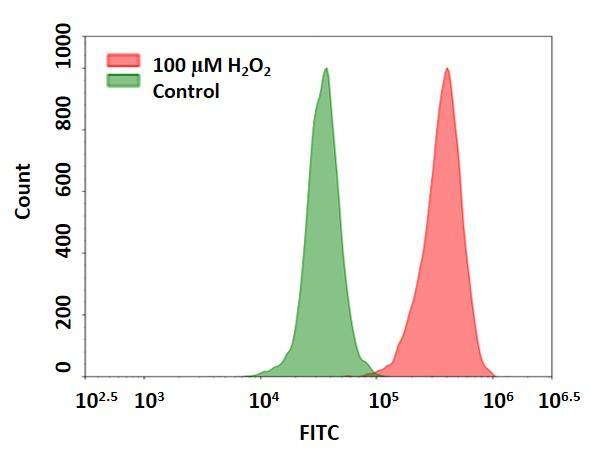 活性氧 Cell Meter 细胞内荧光法过氧化氢检测试剂盒 绿色荧光适用于流式细胞仪
