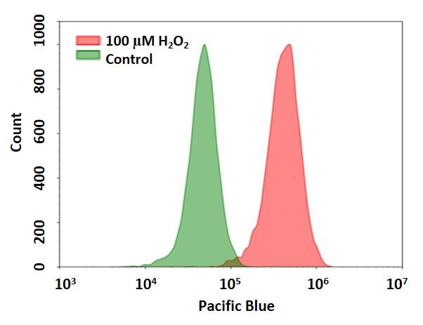 活性氧 Cell Meter 细胞内荧光法过氧化氢检测试剂盒 蓝色荧光适用于流式细胞仪